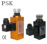 PSK_P(gun)DƬ
